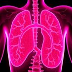 hypoalbuminemia,-kernicterus,-and-bilirubin-albumin-ratio-explained