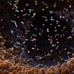 gut-bacteria-proteins-offer-clues-to-chronic-disease-therapies