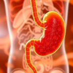 novel-circube2g1-protein-inhibits-gastric-cancer-glycolysis