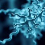 α-synuclein-fibril-structure-drives-parkinson’s-seeding