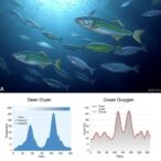 deep-sea-fish-and-ocean-health-at-risk-as-ocean-oxygen-levels-plummet,-new-study-reveals
