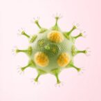 glycerophospholipids’-redox-role-in-ferroptosis-therapy
