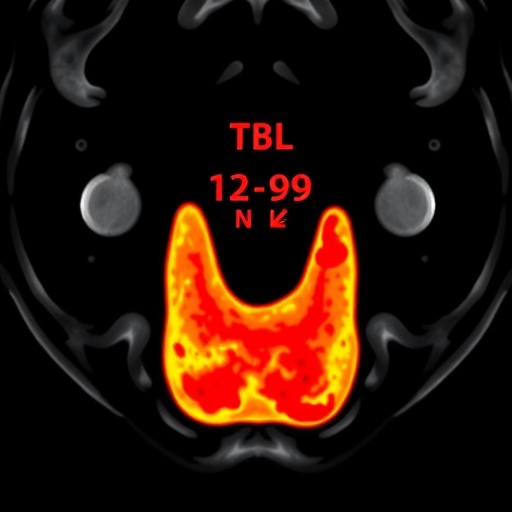 multimodal-ai-predicts-thyroid-cancer-spread-via-ultrasound