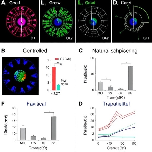 t-cell-responses:-controlled-vs.-natural-schistosome-infection