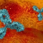 allogene-reports-patient-death,-discontinues-investigational-antibody-in-car-t-pivotal-trial