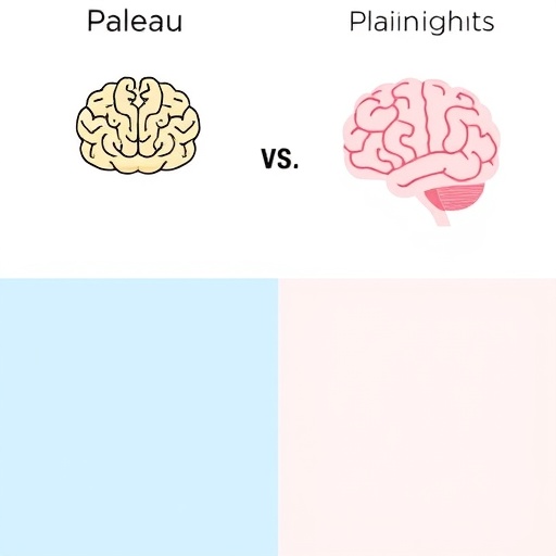 newborn-brain-development:-plateau-vs.-plain-insights