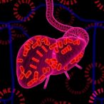 rbm17-drives-liver-cancer-via-lipid,-immunity-changes
