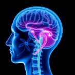 new-research-suggests-ms-could-start-much-earlier-than-previously-believed