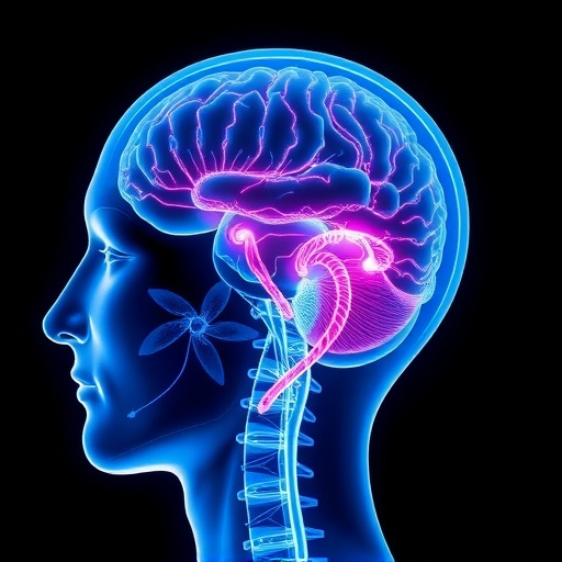 new-research-suggests-ms-could-start-much-earlier-than-previously-believed