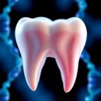 genome-wide-study-links-genes-to-tooth-diseases