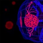 azelaic-acid-blocks-leukemia-cell-skin-trafficking