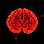 how-dopamine-influences-confidence-and-choice-variations