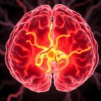 inside-layer-5-thick-tufted-neurons’-synaptic-network