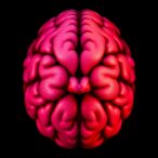 metabolic-traits-conserved-and-diverged-in-tumors,-xenografts