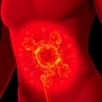 fat-cell-n-acetylaspartate-controls-post-meal-body-temperature