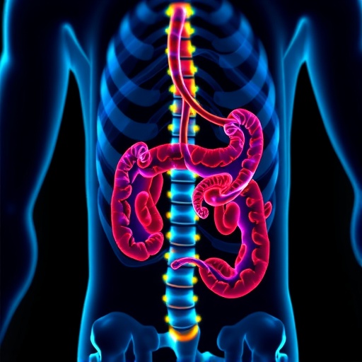 tyrosine-kinase-inhibitors:-new-frontiers-in-colorectal-cancer