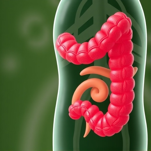 predicting-colorectal-cancer-using-lifestyle-factors