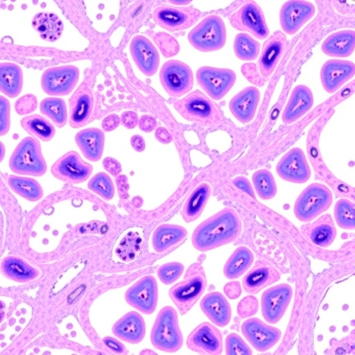 dual-targeting-clears-her2-ihc-diagnostic-hurdles