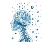assessing-human-exposure-to-nano-and-microplastics