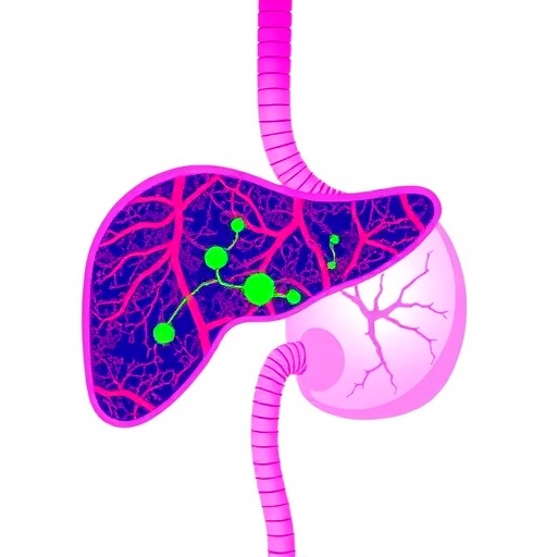 prognostic-nutrition-index-predicts-liver-cancer-outcomes