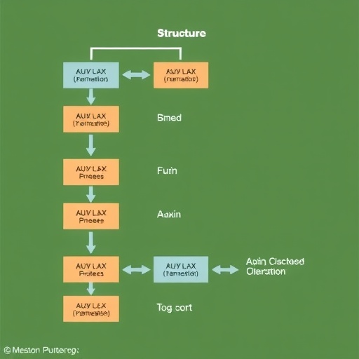 aux/lax-transporters:-structure-and-auxin-import-mechanism