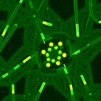 chip-based-label-free-incoherent-super-resolution-microscopy