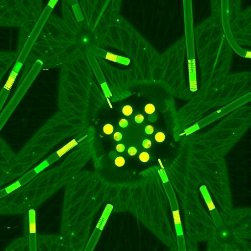 chip-based-label-free-incoherent-super-resolution-microscopy