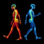 advancing-clinical-gait-analysis-with-generative-ai-and-musculoskeletal-simulation