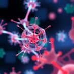 ucla-researchers-engineer-stem-cells-to-generate-renewable-cancer-fighting-t-cells