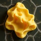 beeswax-taro-starch-bigels:-ratio-impacts-structure
