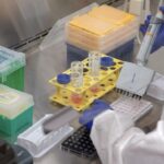 als-mutation-linked-to-stress-response-points-to-targeted-therapies