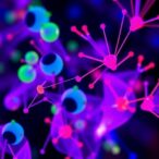 two-decades-of-flow-cytometry-advancements