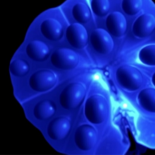 chondrocyte-viability’s-role-in-postmortem-analysis