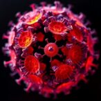 chronic-cmv-infection-boosts-melanoma-immunotherapy-survival