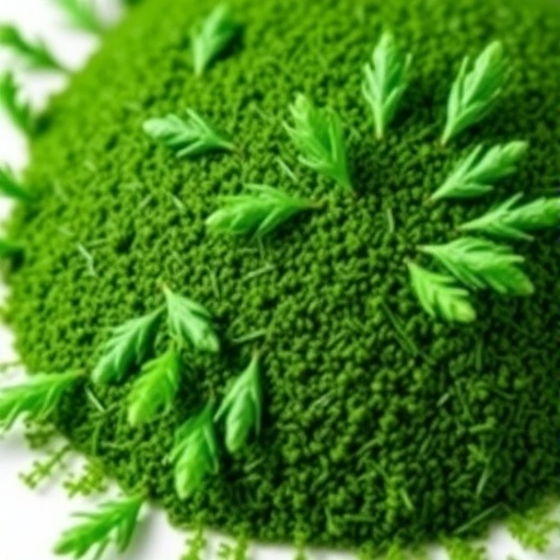 spirulina-protein-extraction-and-food-applications-reviewed