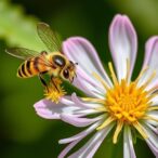pollination-behavior-plays-key-role-in-plant-evolution