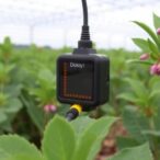 dickeya-zeae-wh1:-affordable-sensor-for-pyocyanin-detection