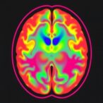 new-mri-breakthroughs-illuminate-developing-pediatric-brain