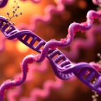 rna-blocks-mitochondrial-shmt2,-halting-cancer-growth
