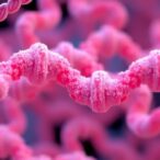 sugar-coated-stealth:-how-the-body-conceals-rna