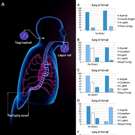 aging-impairs-pulmonary-endothelial-cell-reprogramming