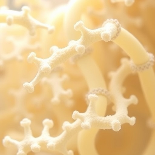 probiotic-potential-of-β-galactosidase-lactobacillus-rhamnosus