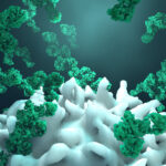 perfusion-based-mab-production-at-250-ml-scale-using-atf-technology