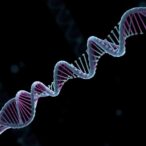 genetic-diversity-and-forensic-insights-from-west-bengal-strs