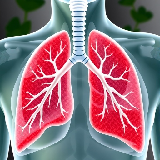 sauropus-extract-eases-lung-injury-by-targeting-nf-κb