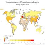global-seroprevalence-of-toxoplasma-in-equids