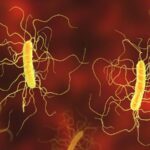 computational-models-forecast-c.-diff-infections-before-they-develop