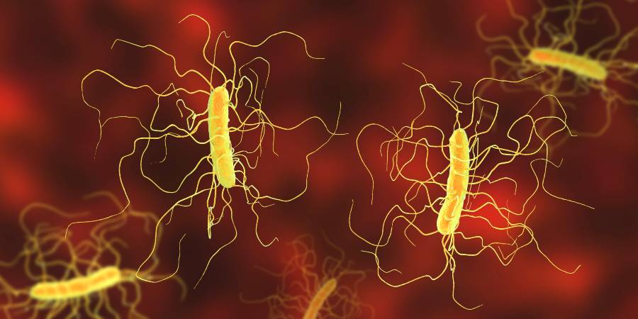 computational-models-forecast-c.-diff-infections-before-they-develop