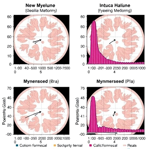 symptomatic-progression-free-survival:-new-myeloma-measure