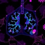 muc1-c-links-apobec3-and-retrovirus-activation-in-nsclc